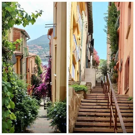 アパート Art Deco Centre-ville, Spacieux Et Lumineux ペルピニャン