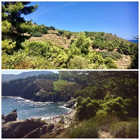 Art Déco Centre-ville, Spacieux Et Lumineux Appartamento Perpignano