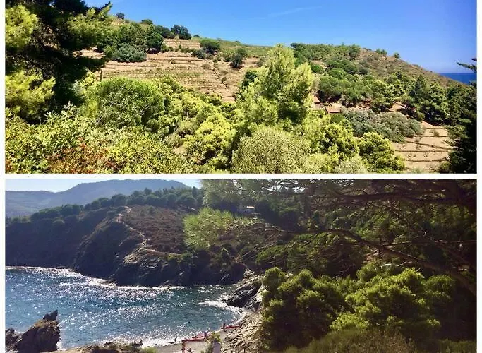 Art Deco Centre-ville, Spacieux Et Lumineux 아파트 페르피냥